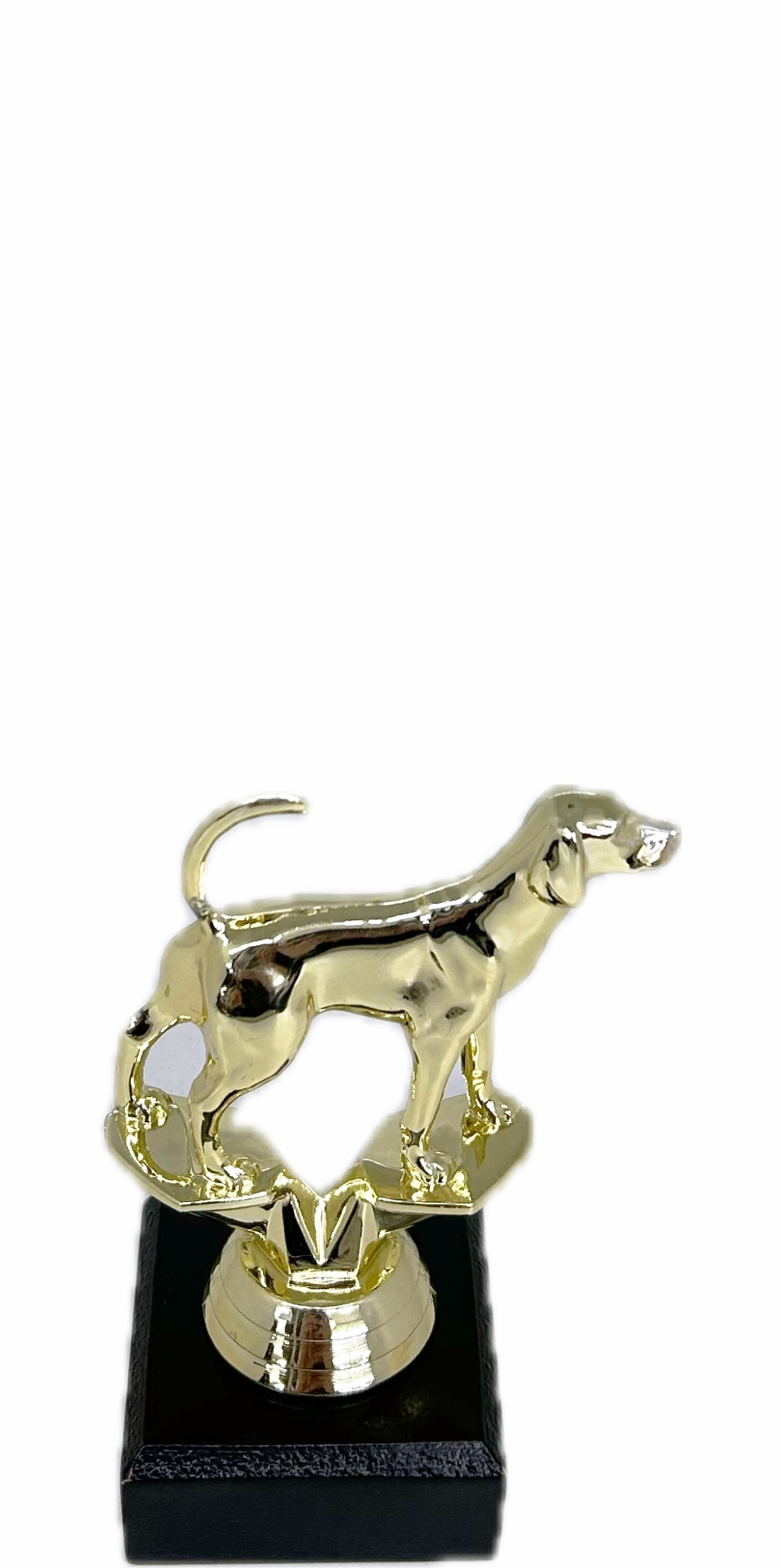 Dog Fox Hound Trophy 125mm