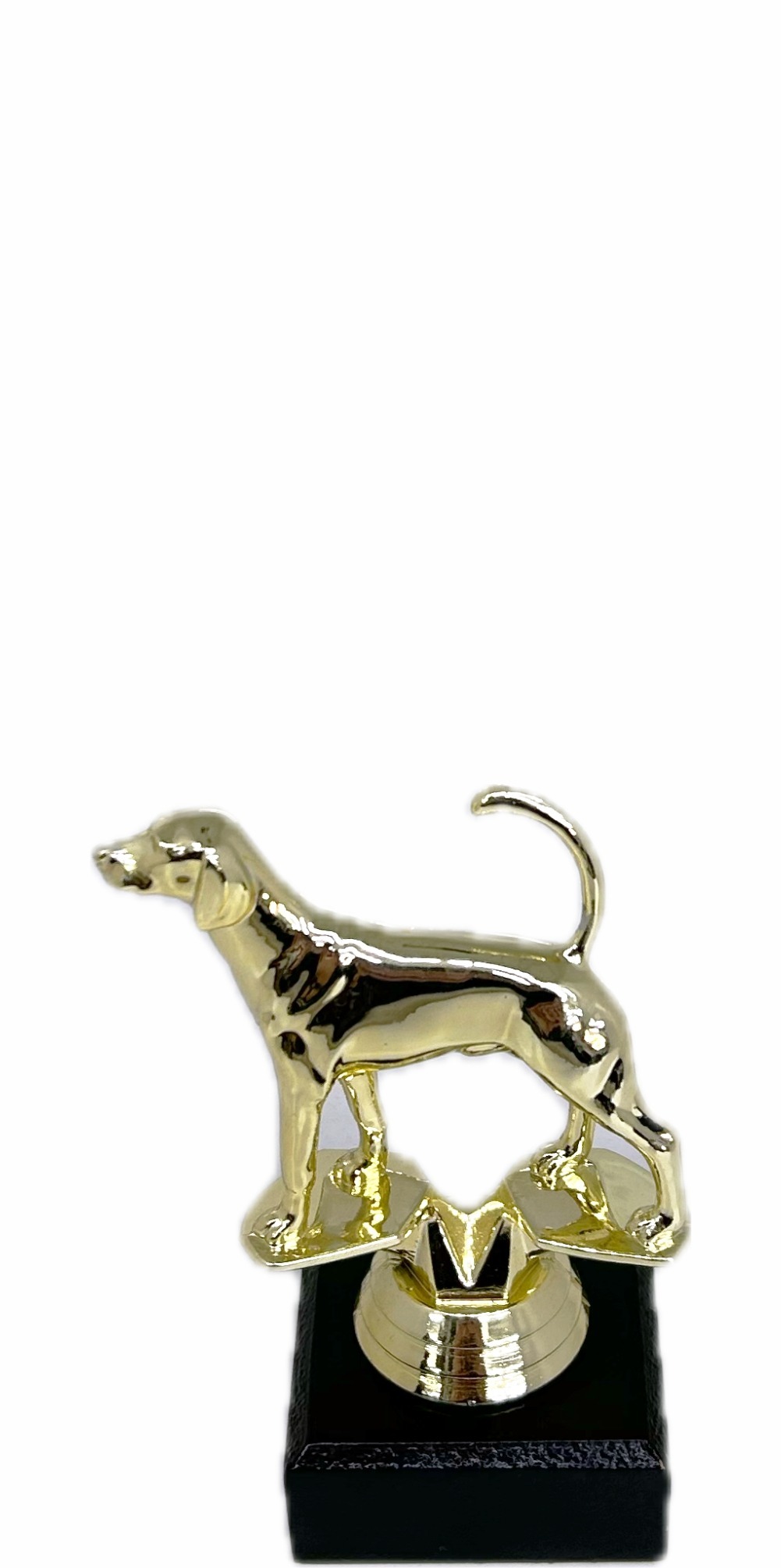 Dog Fox Hound Trophy 125mm
