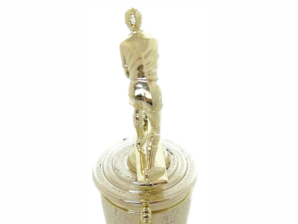 Hockey Male Trophy 230mm