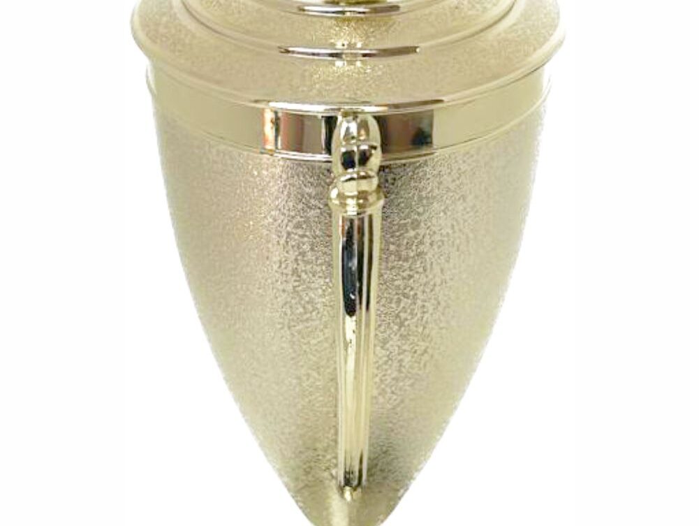 Hockey Male Trophy 370mm
