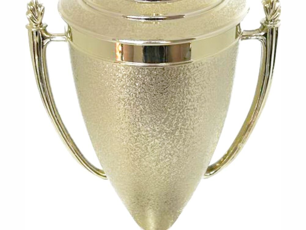 Hockey Male Trophy 370mm