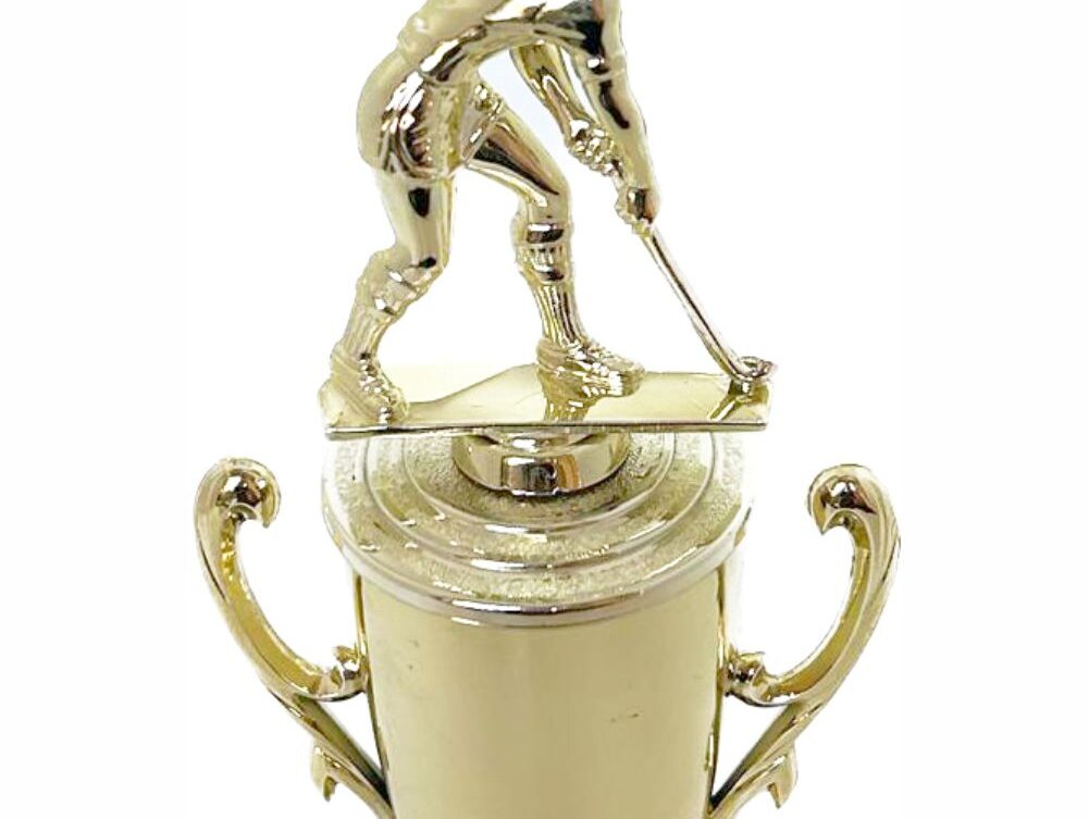 Hockey Male Trophy 255mm