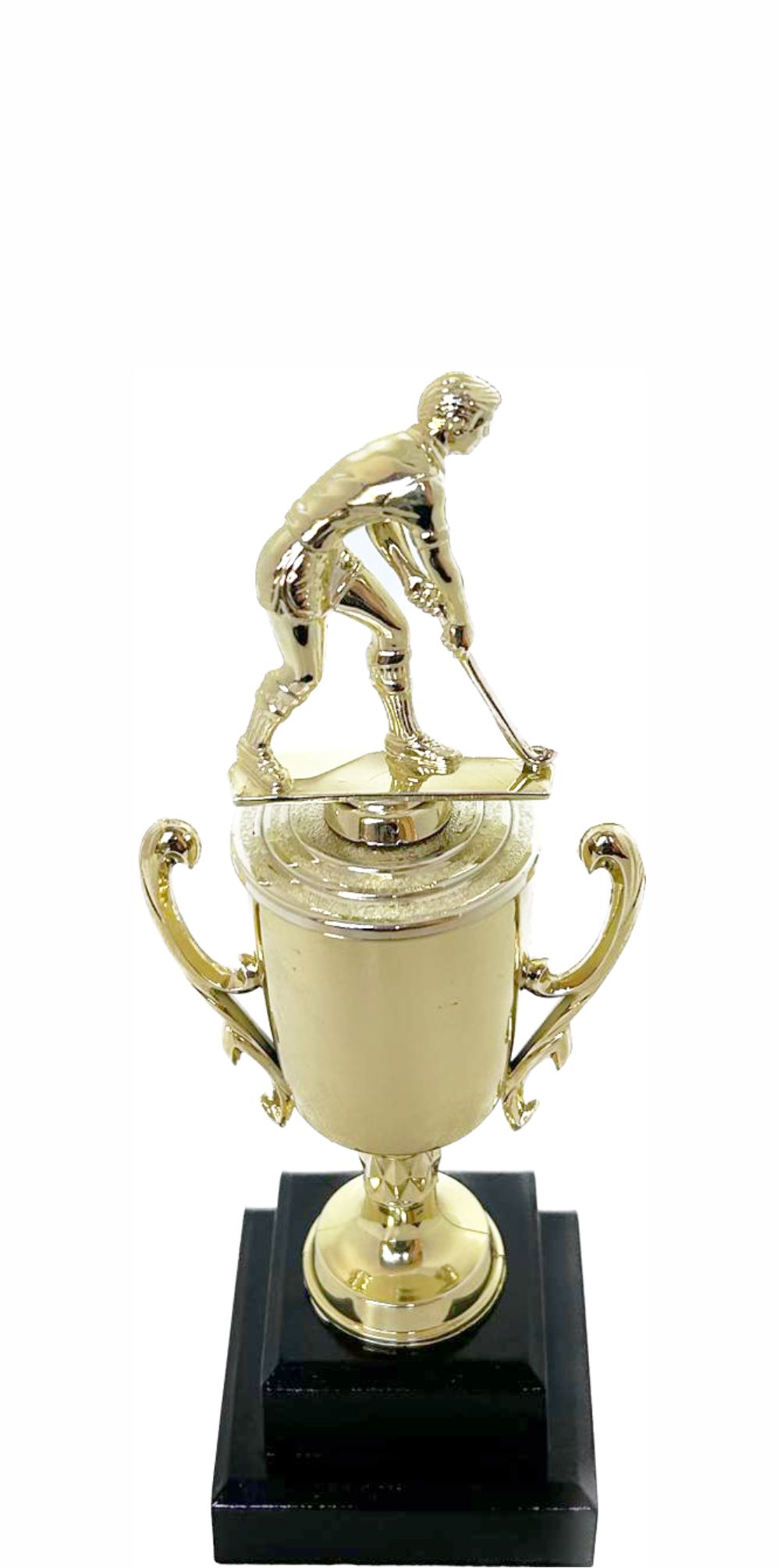 Hockey Male Trophy 255mm