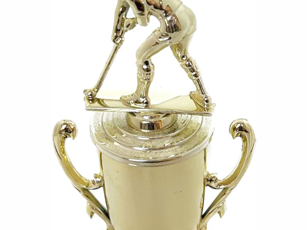Hockey Male Trophy 255mm