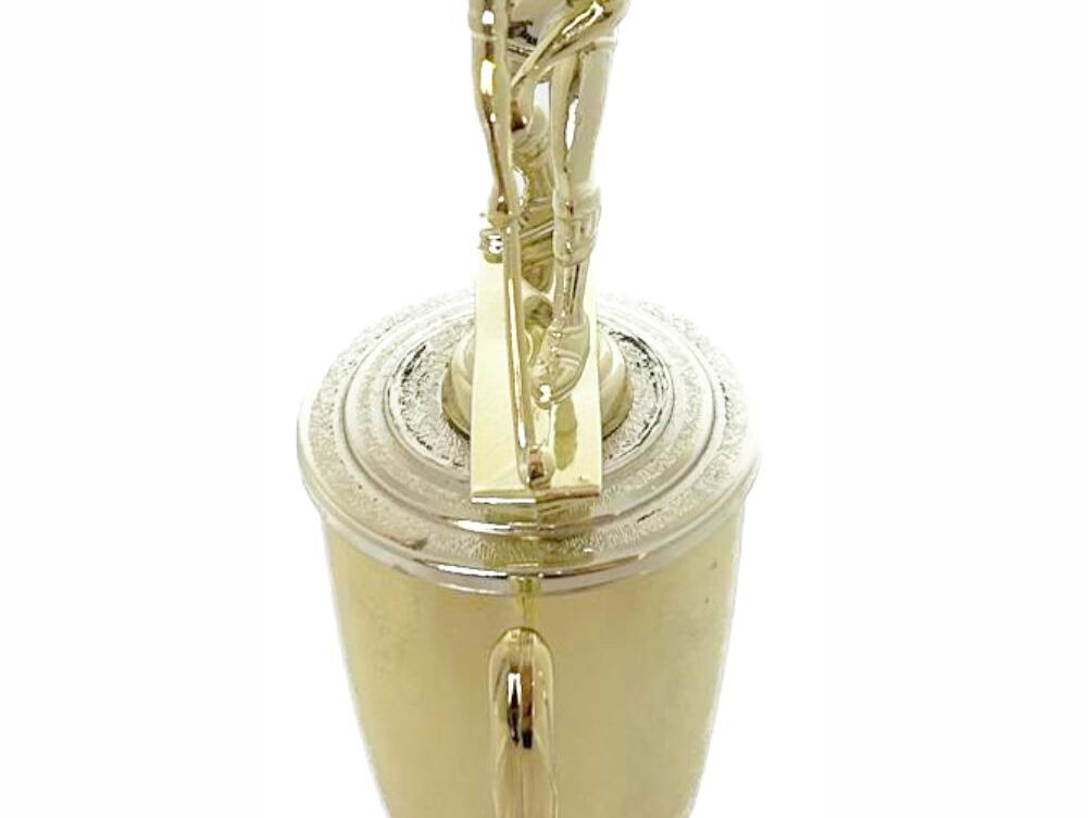 Hockey Male Trophy 255mm