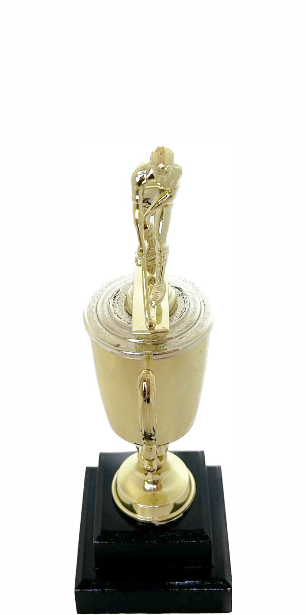 Hockey Male Trophy 255mm