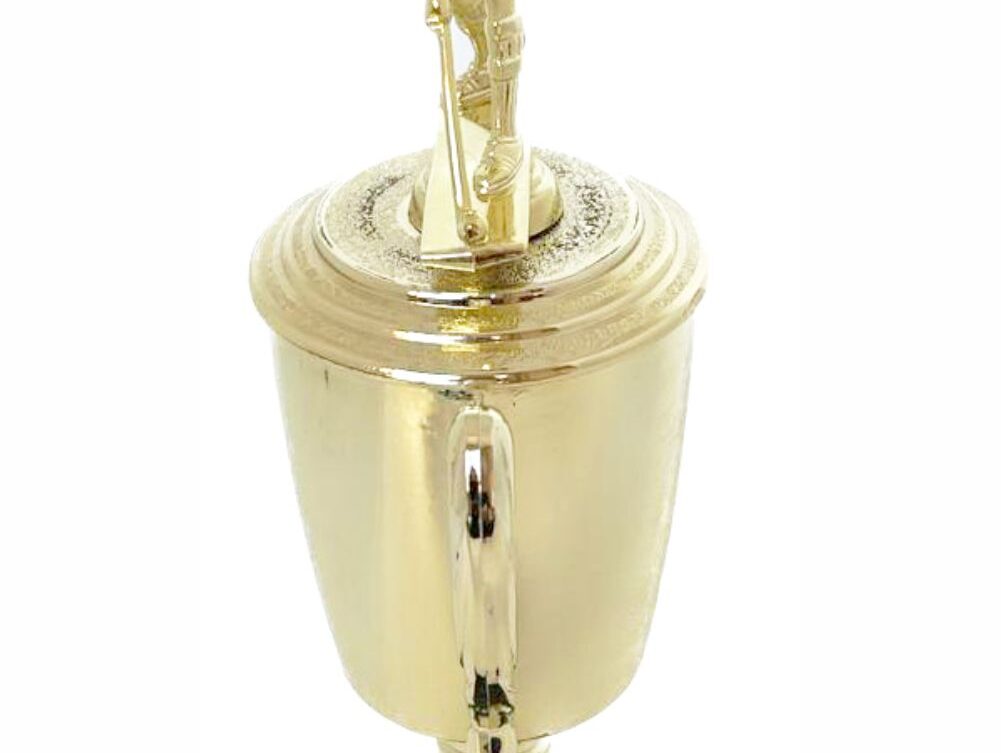 Hockey Male Trophy 290mm