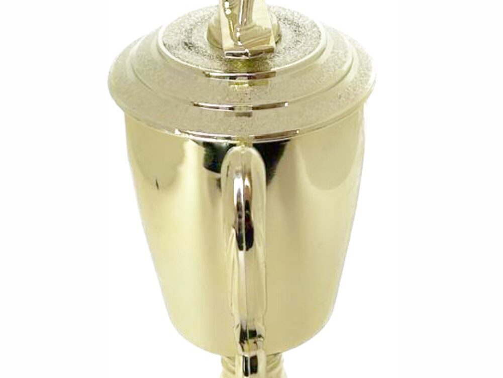 Hockey Male Trophy 330mm