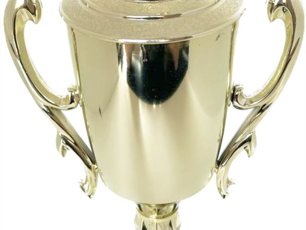 Hockey Male Trophy 370mm