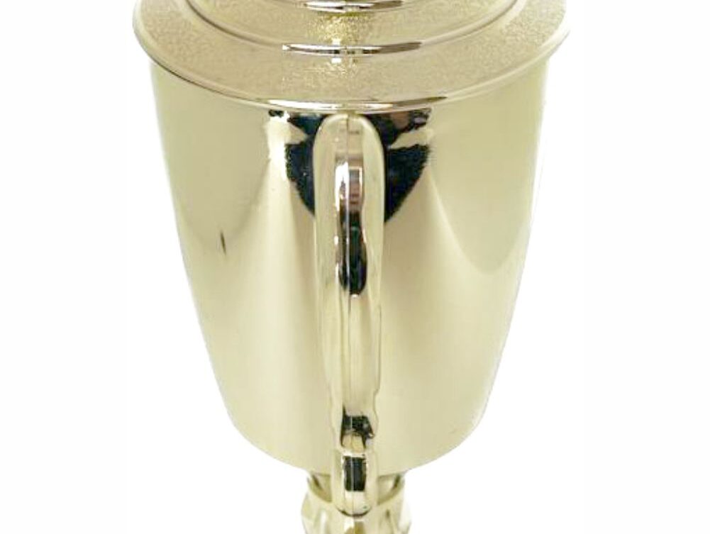 Hockey Male Trophy 370mm