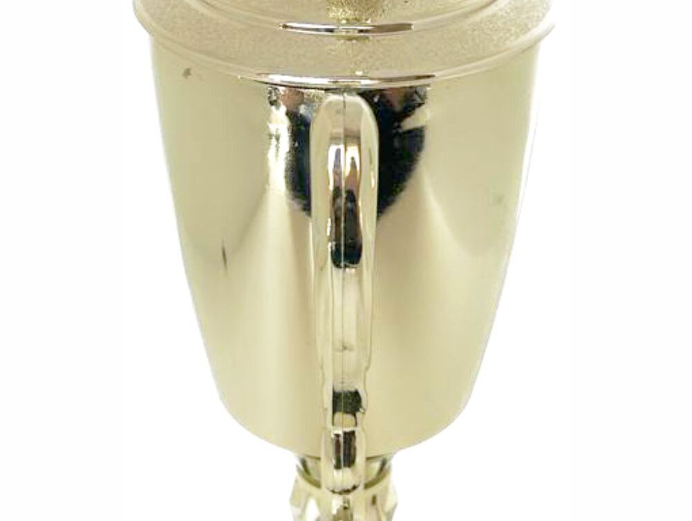 Hockey Male Trophy 370mm