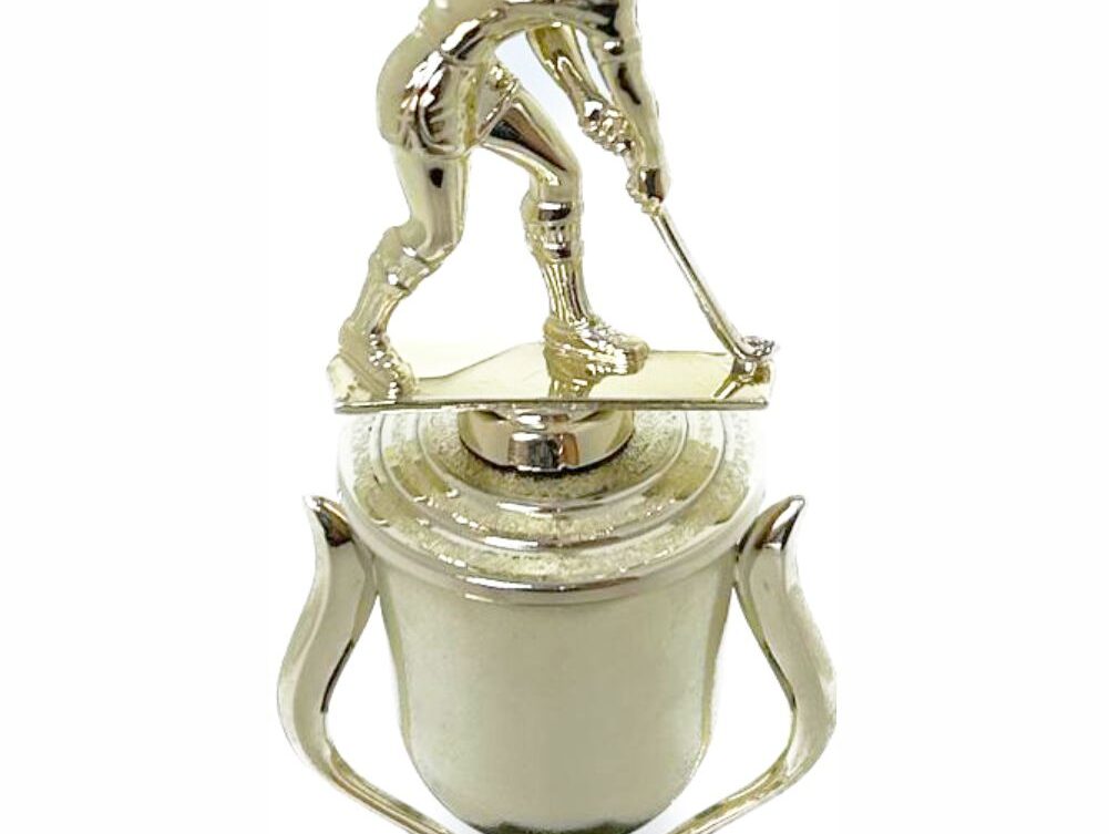 Hockey Male Trophy 255mm