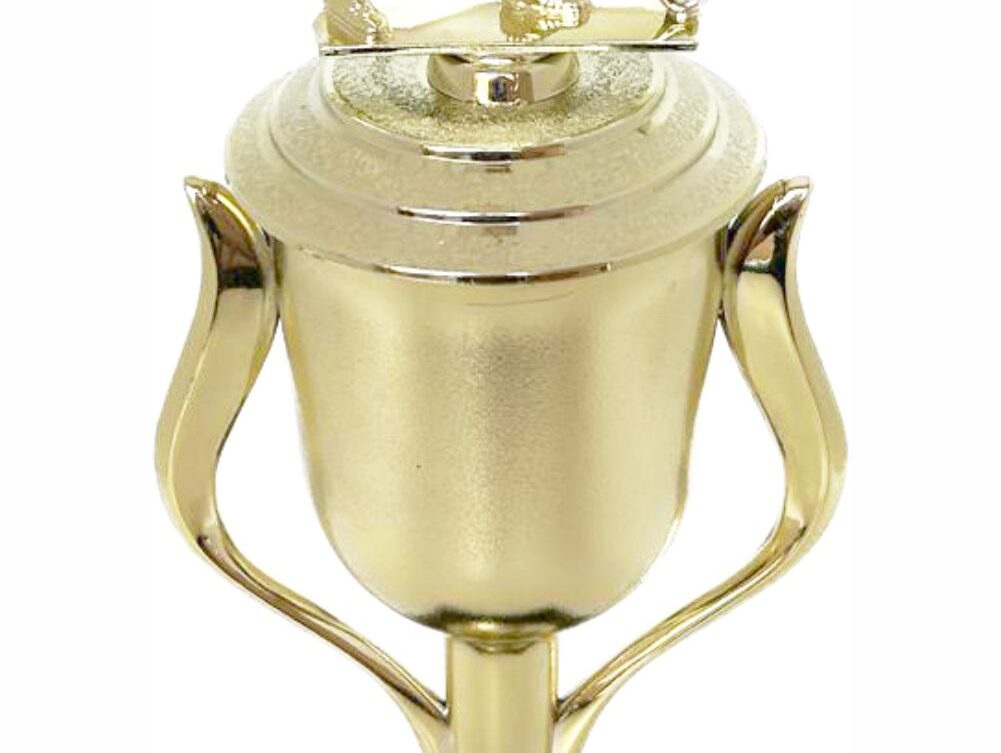 Hockey Male Trophy 330mm