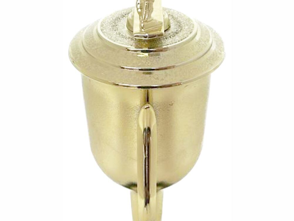 Hockey Male Trophy 330mm