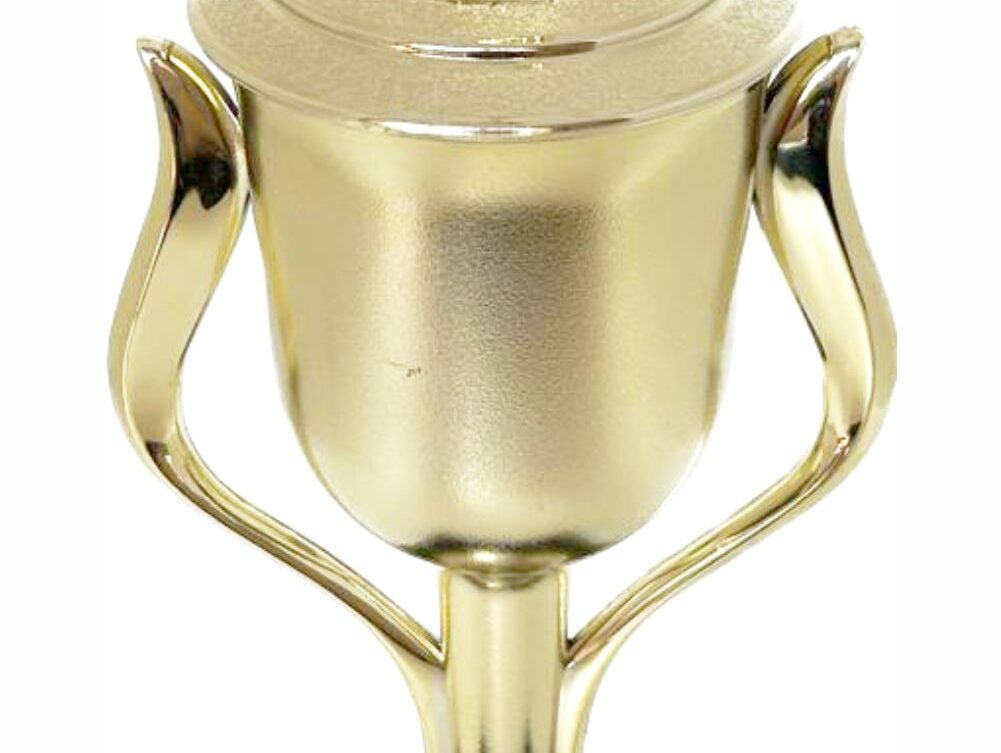 Hockey Male Trophy 370mm