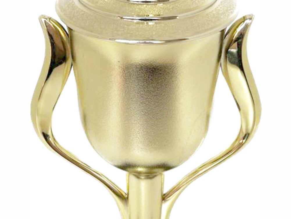 Hockey Male Trophy 370mm