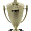 Chess King Trophy 370mm