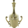 Chess King Trophy 250mm