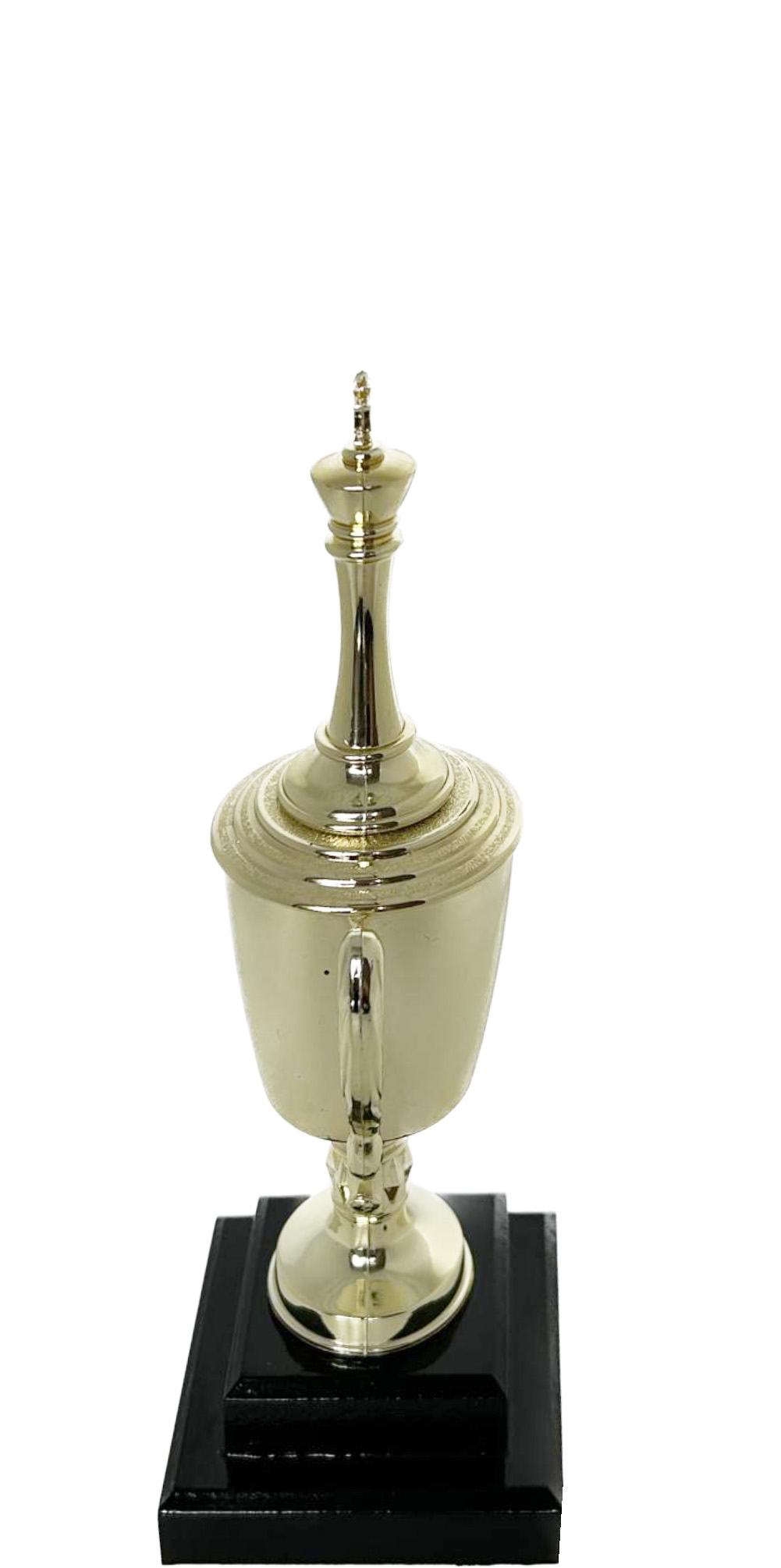 Chess King Trophy 250mm
