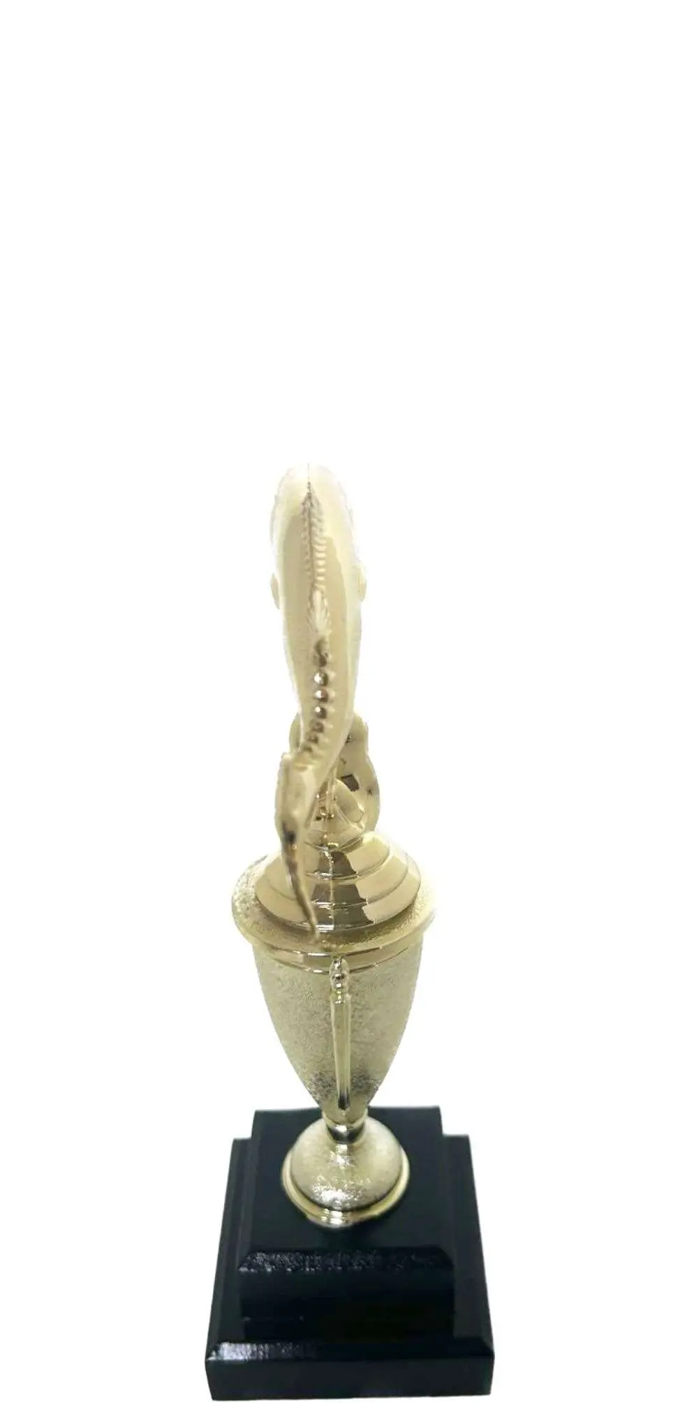 Fish Trophy 225mm