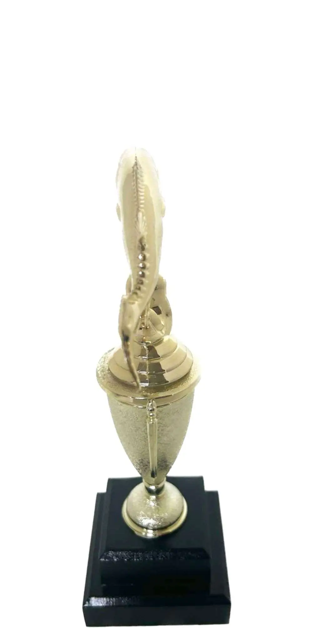 Fish Trophy 250mm