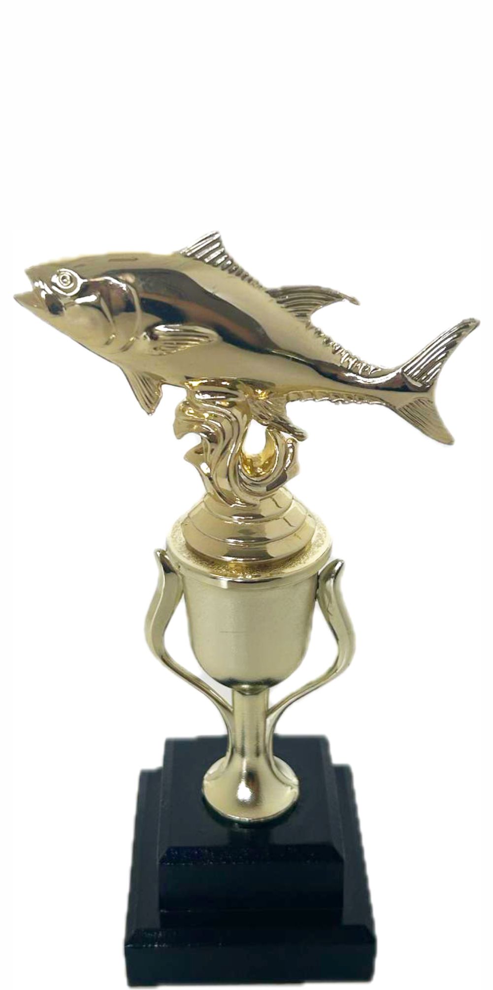 Fish Trophy 250mm
