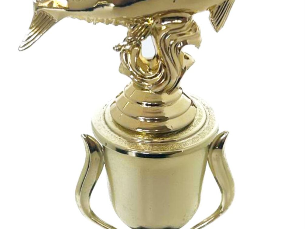 Fish Trophy 285mm