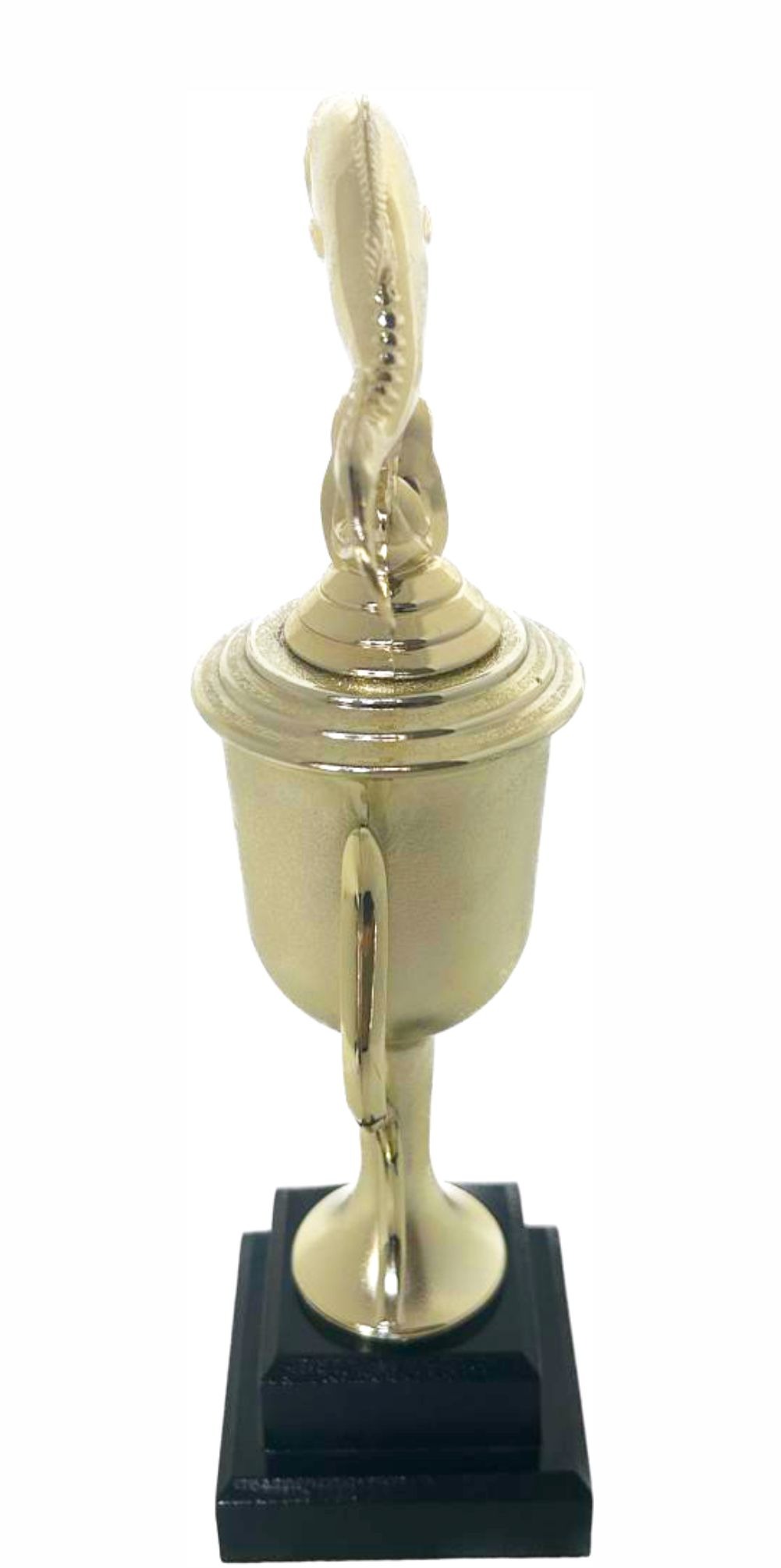 Fish Trophy 325mm