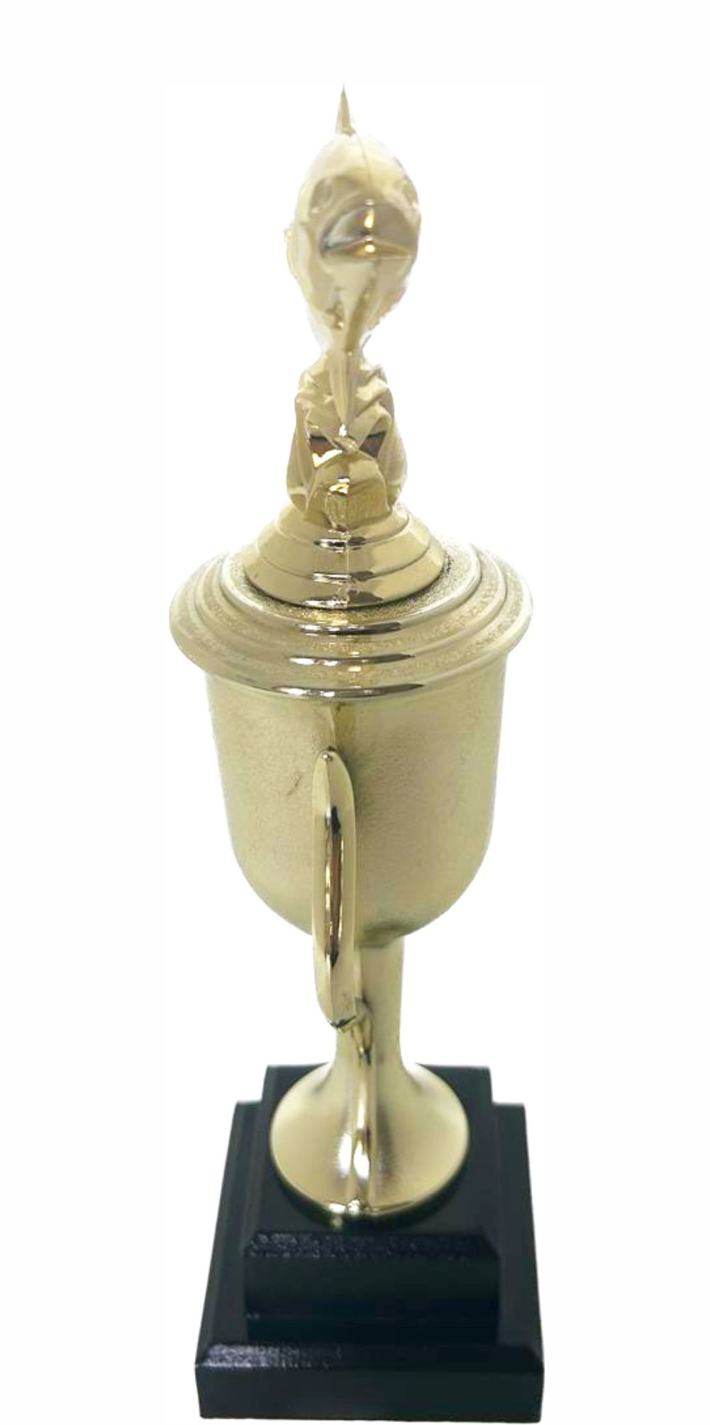 Fish Trophy 325mm