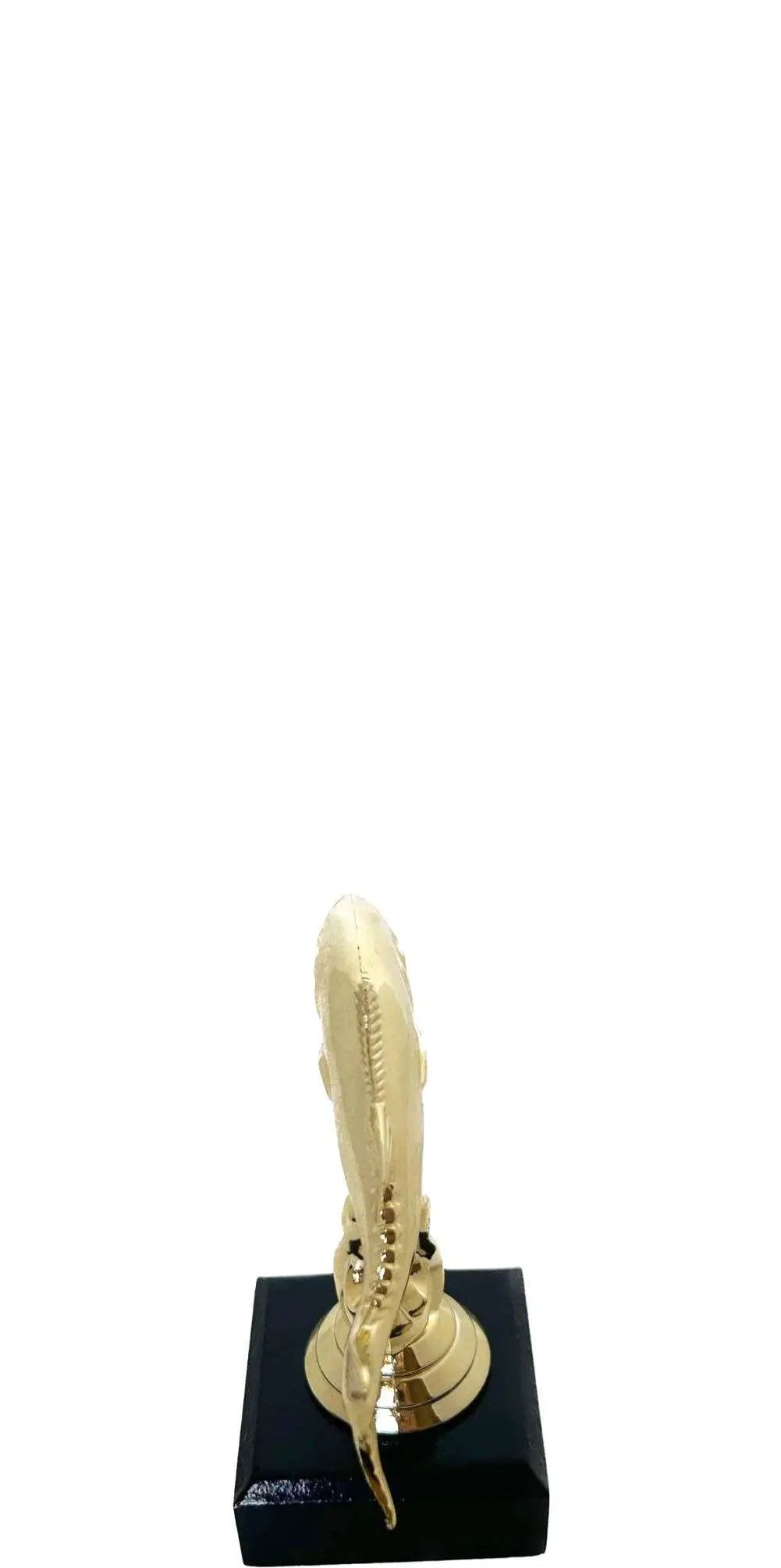 Fish Trophy 105mm