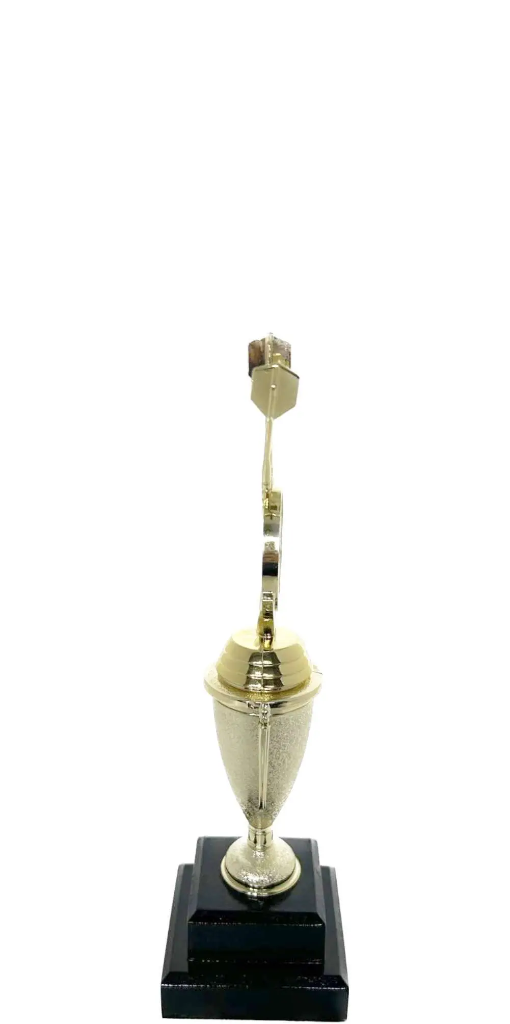 Darts Trophy 250mm