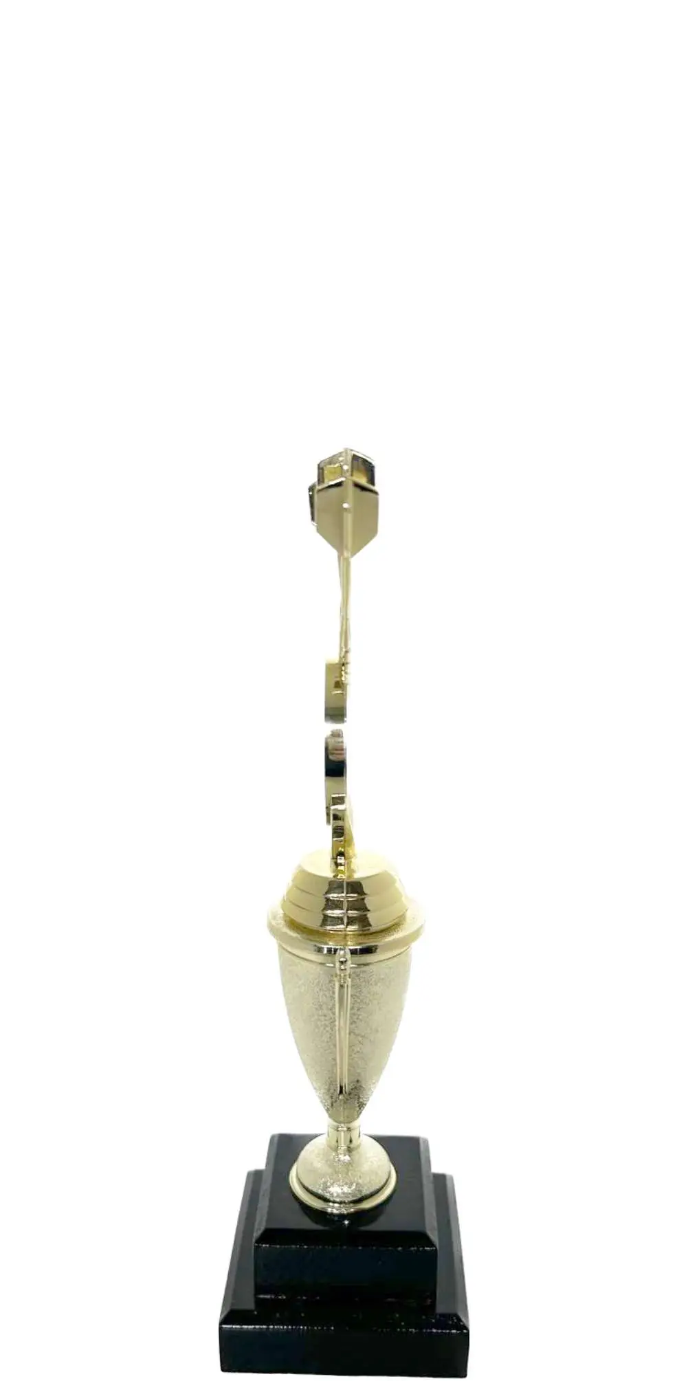 Darts Trophy 250mm