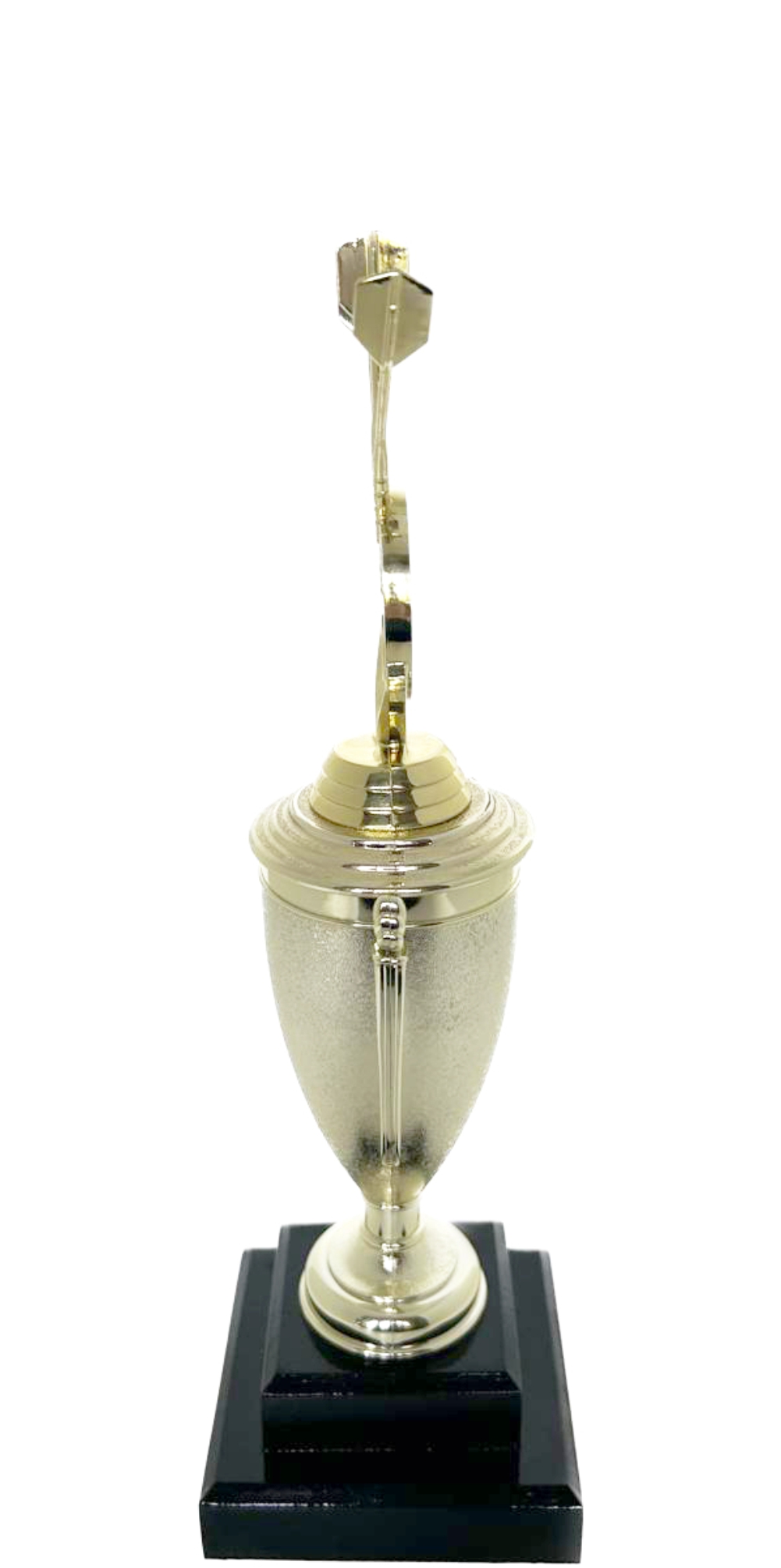 Darts Trophy 310mm