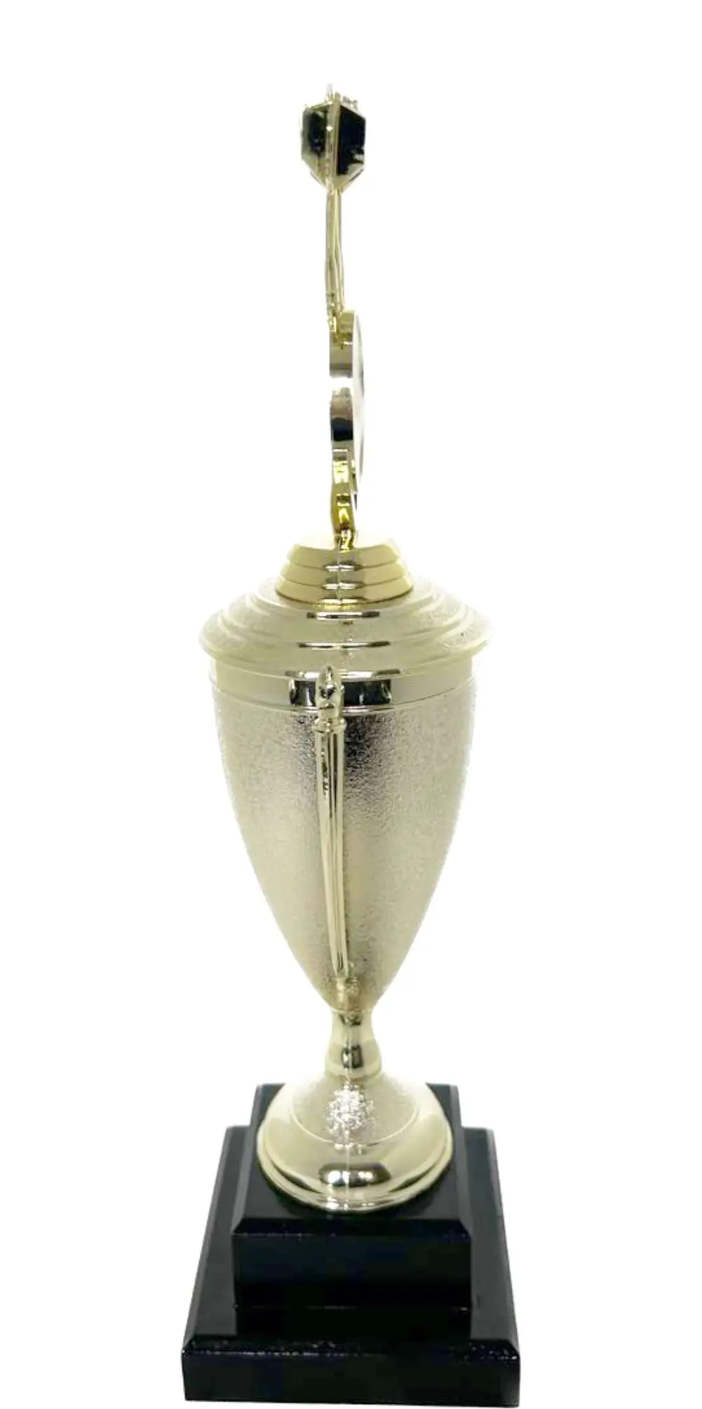 Darts Trophy 350mm