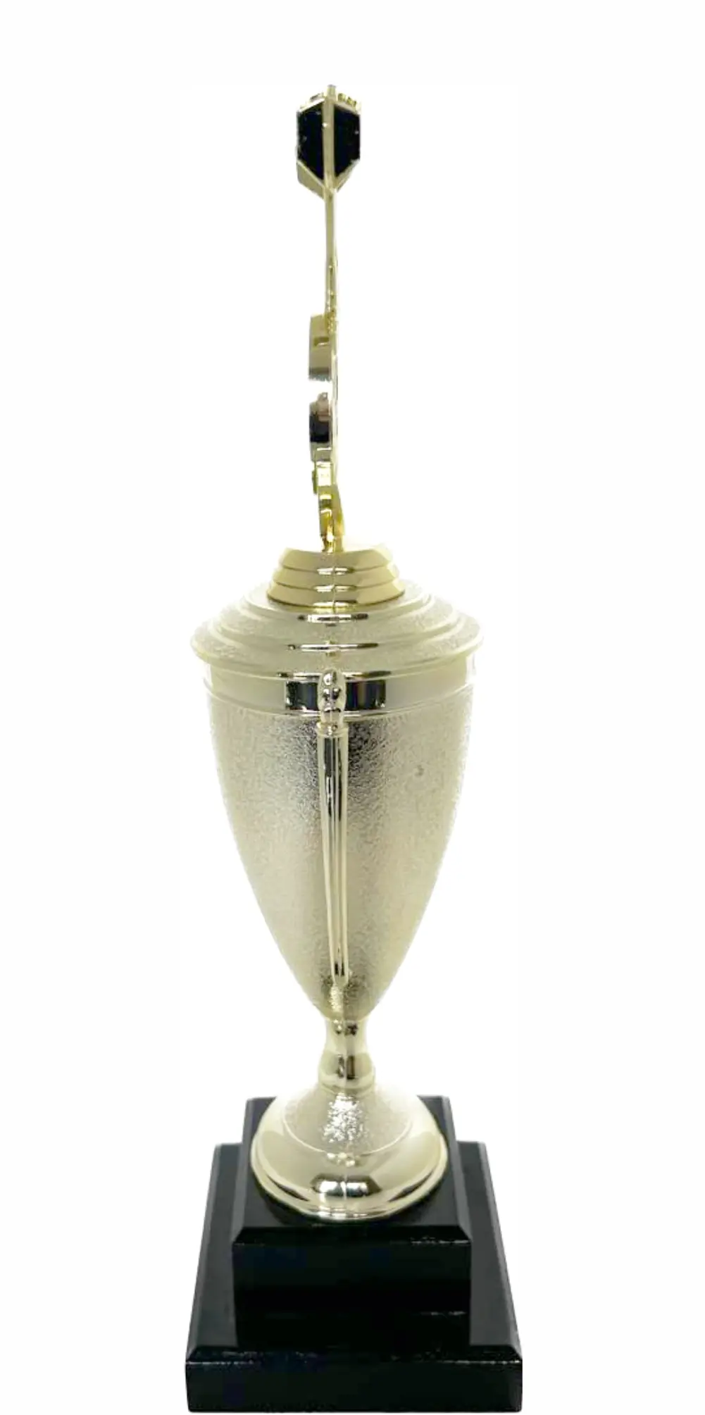 Darts Trophy 350mm