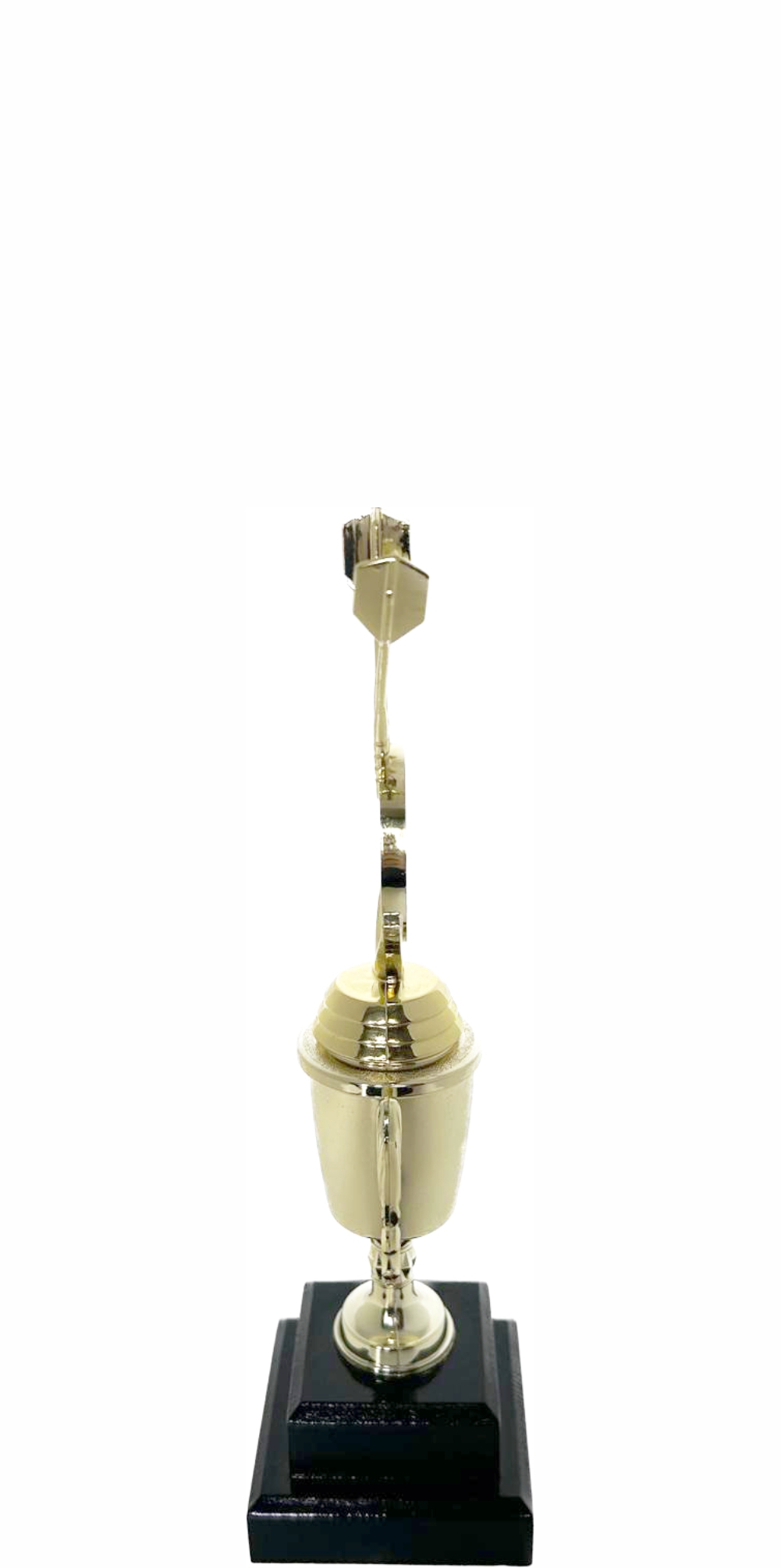 Darts Trophy 250mm