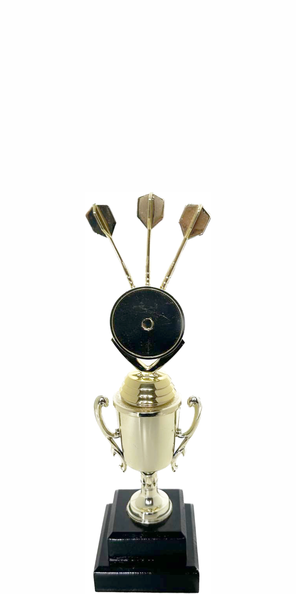 Darts Trophy 250mm
