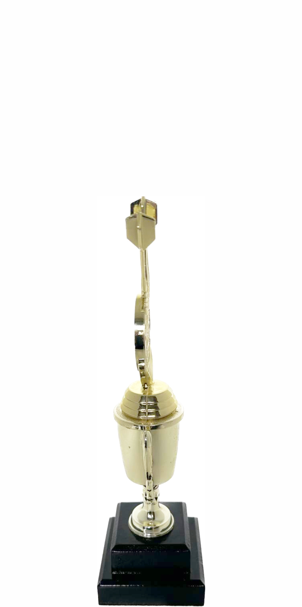 Darts Trophy 250mm