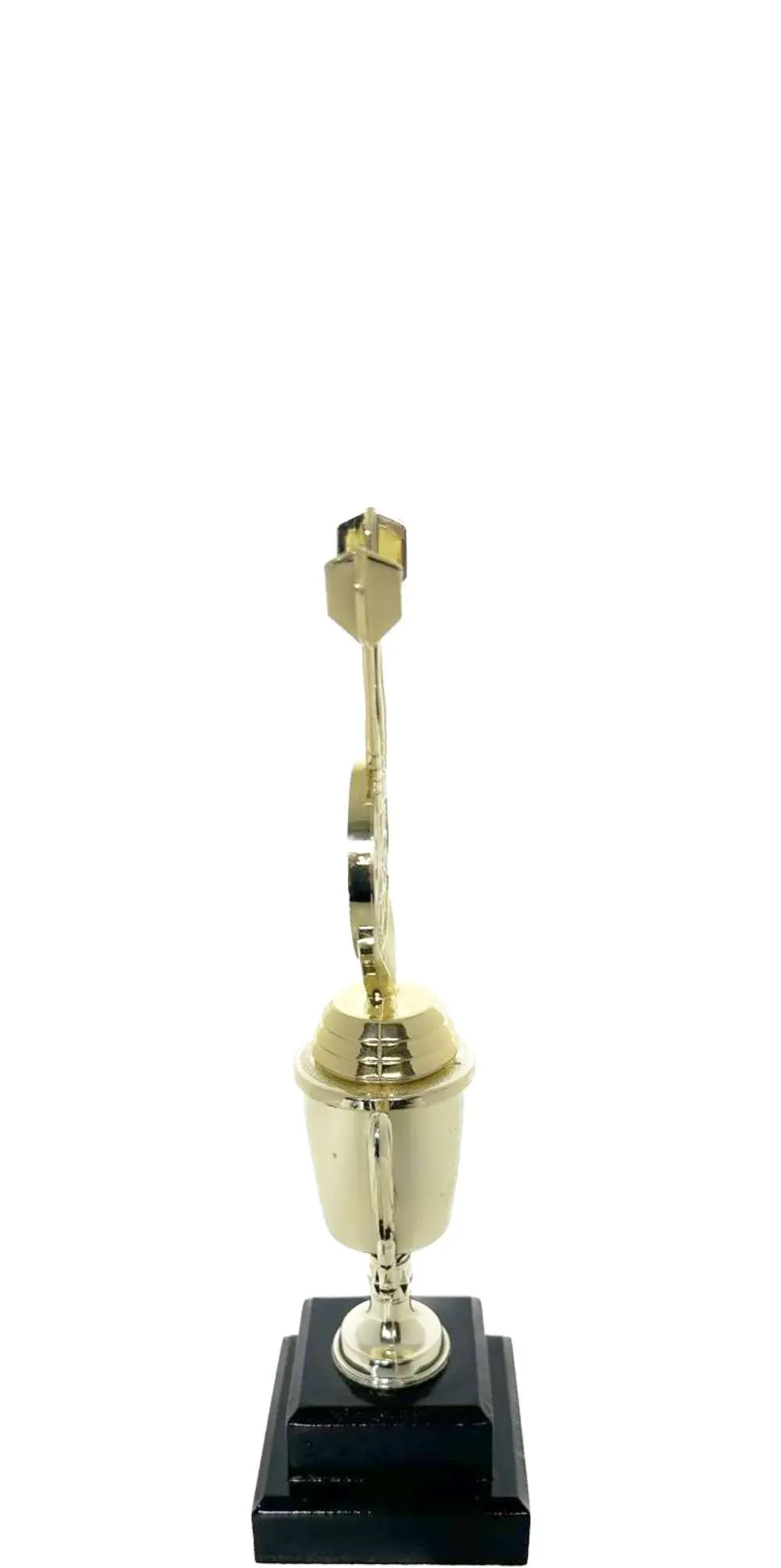 Darts Trophy 250mm