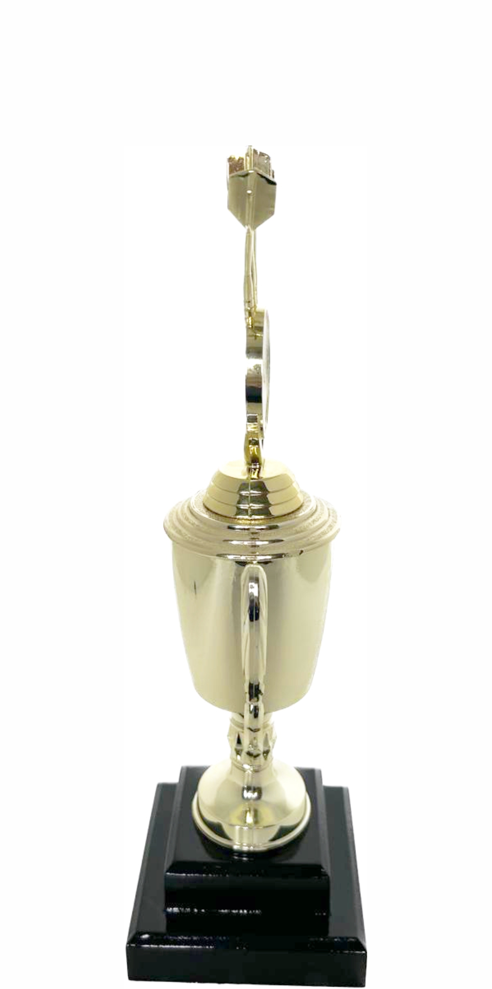 Darts Trophy 310mm