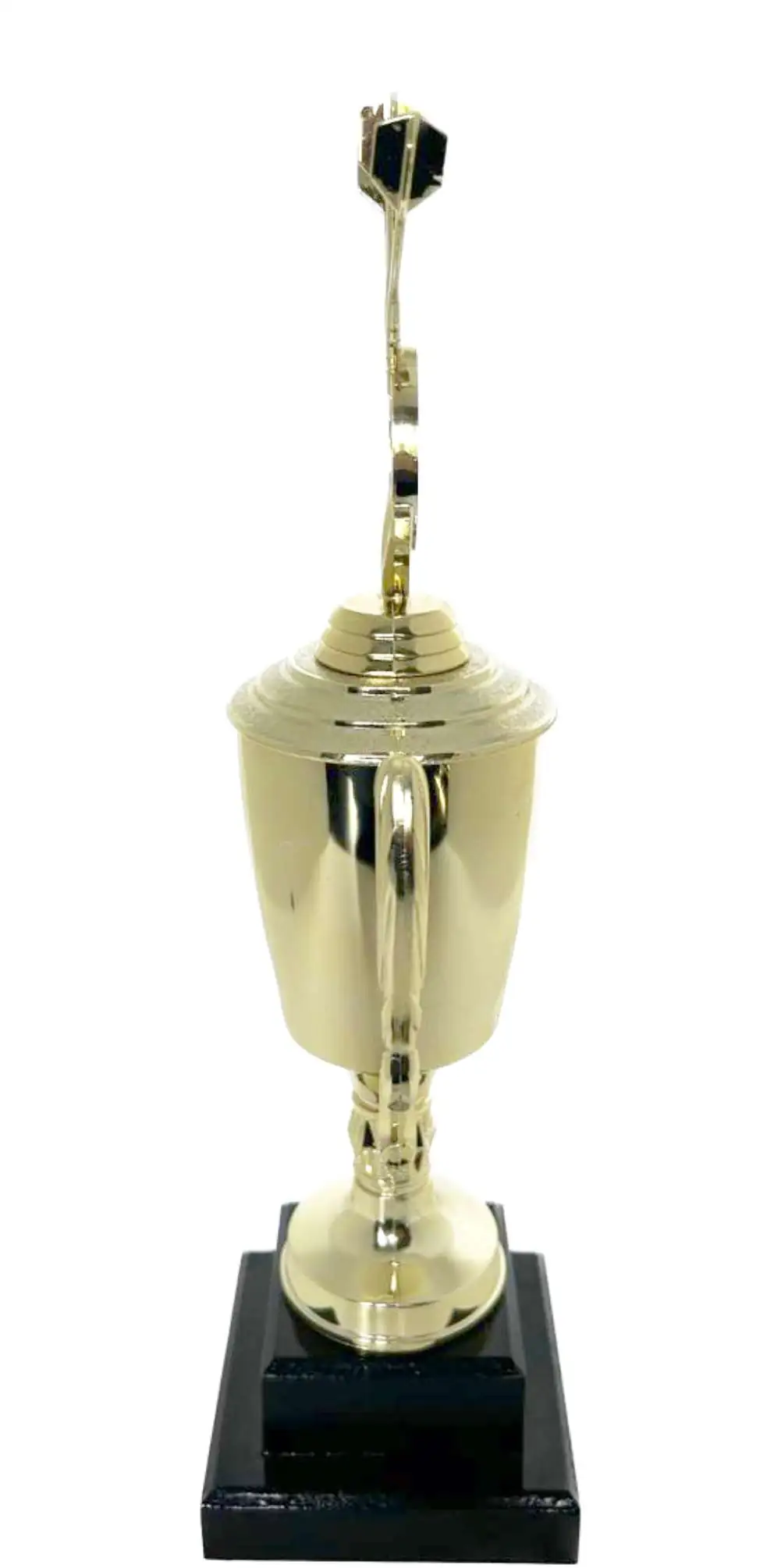 Darts Trophy 350mm