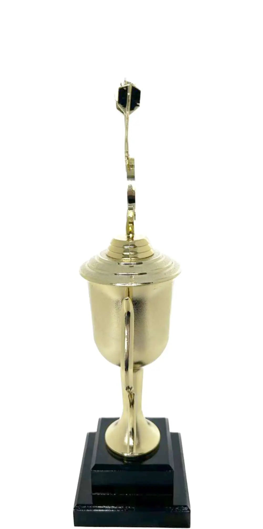 Darts Trophy 310mm