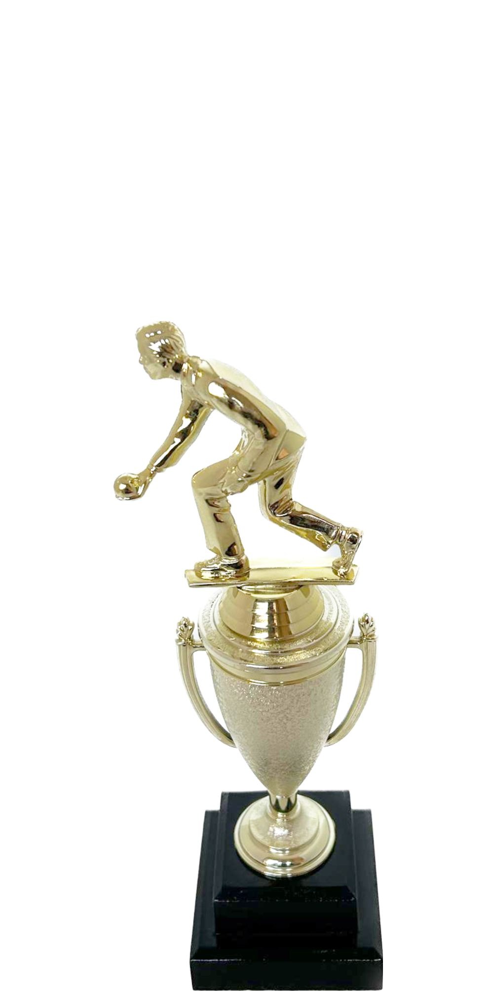 Bowls Lawn Bowler Male Trophy 245mm