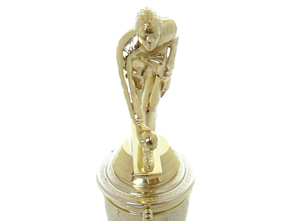 Bowls Lawn Bowler Male Trophy 245mm