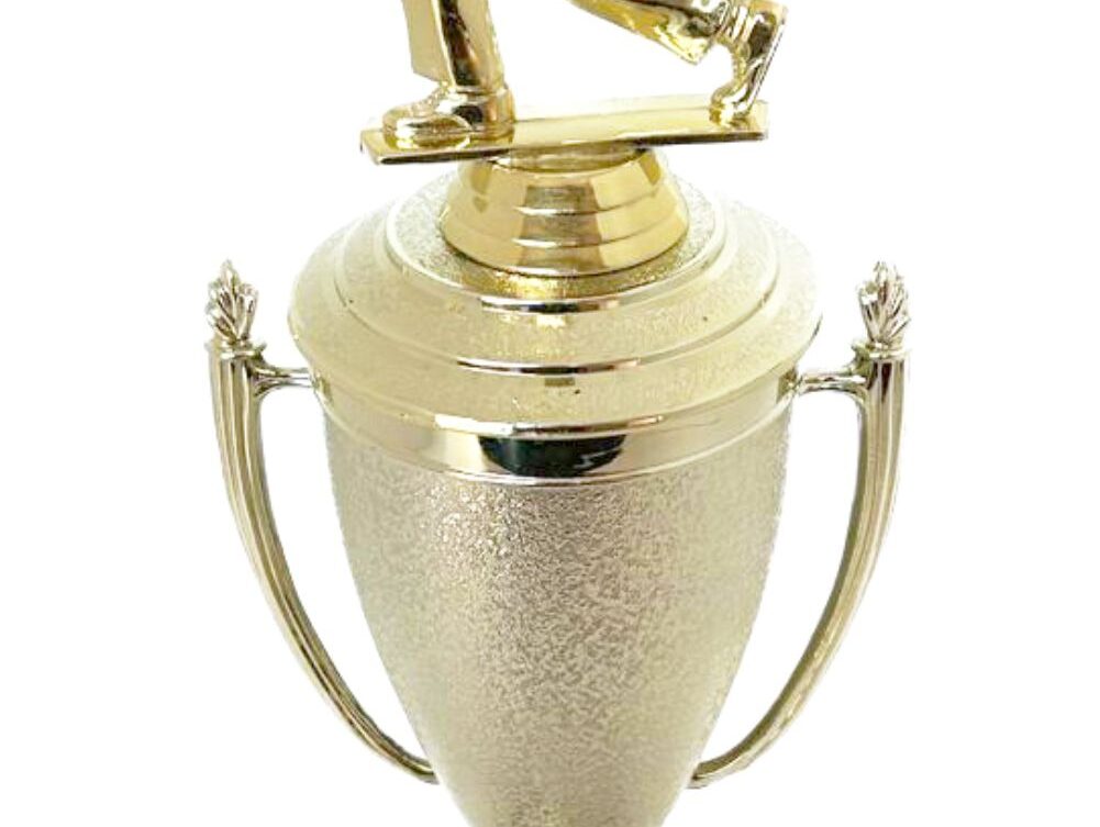 Bowls Lawn Bowler Male Trophy 345mm