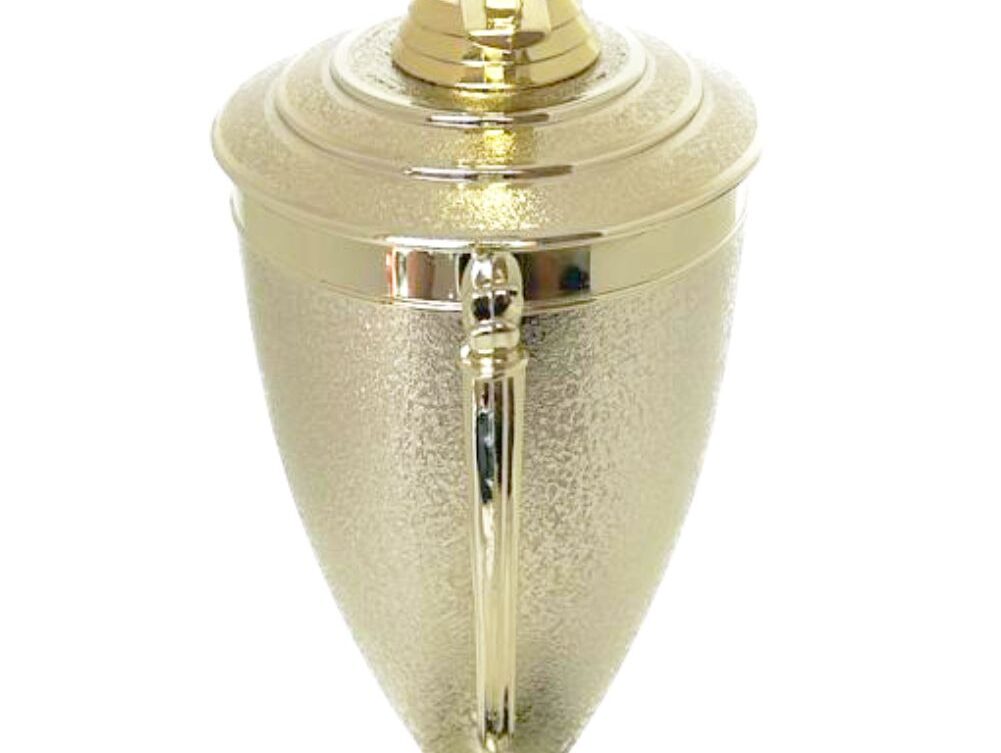 Bowls Lawn Bowler Male Trophy 385mm