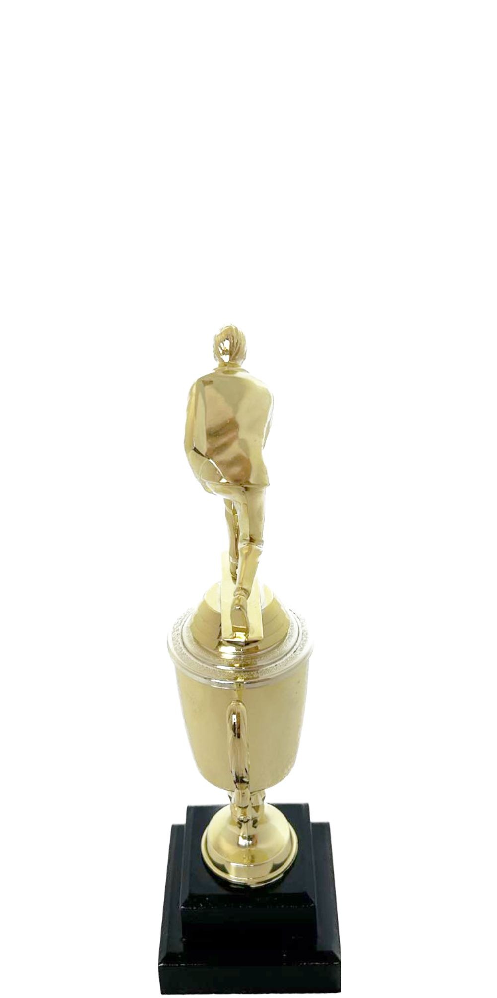 Bowls Lawn Bowler Male Trophy 245mm