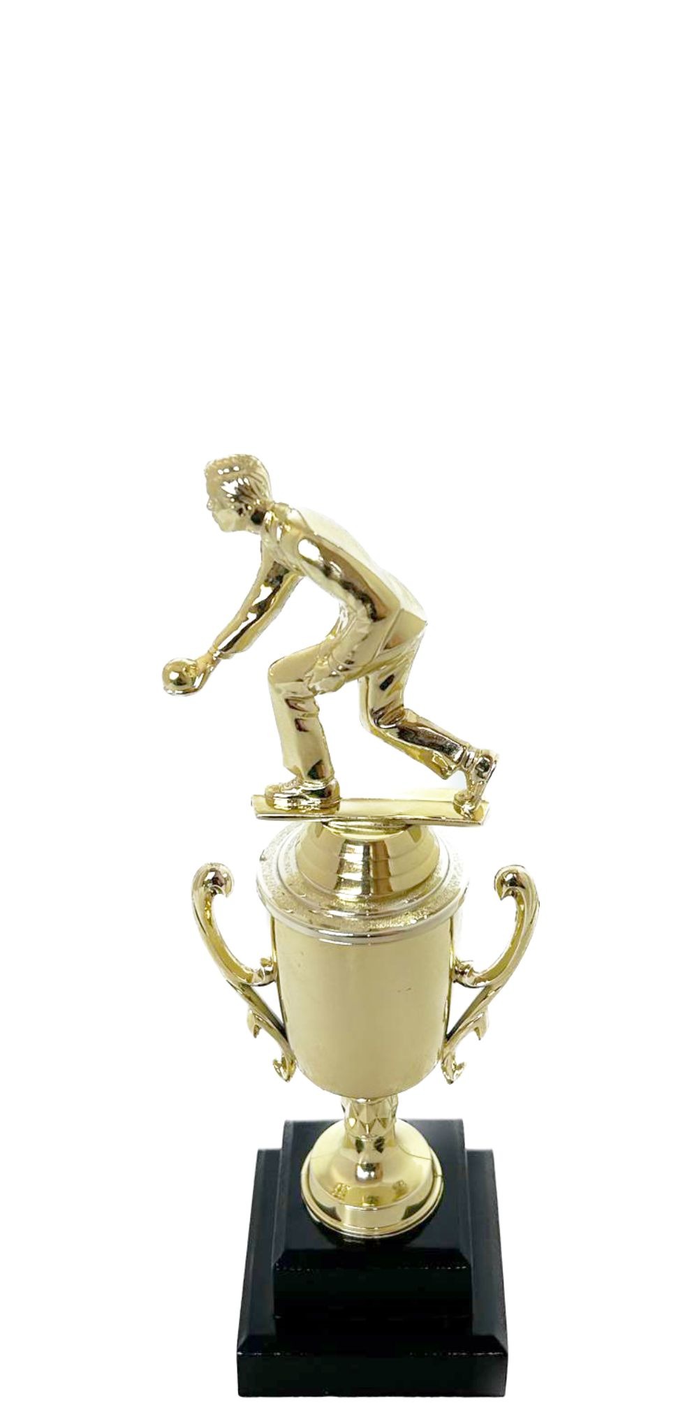 Bowls Lawn Bowler Male Trophy 245mm
