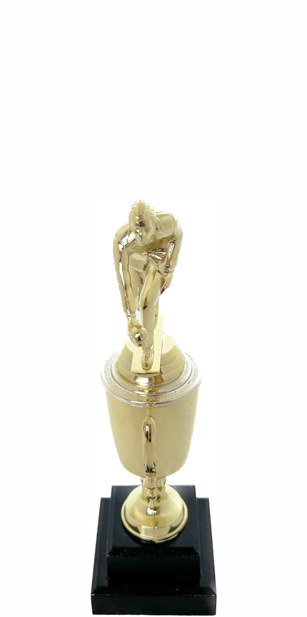 Bowls Lawn Bowler Male Trophy 245mm