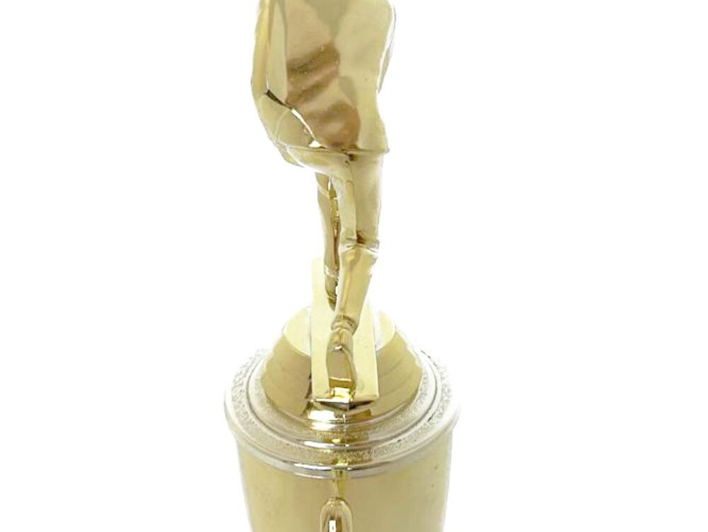 Bowls Lawn Bowler Male Trophy 265mm
